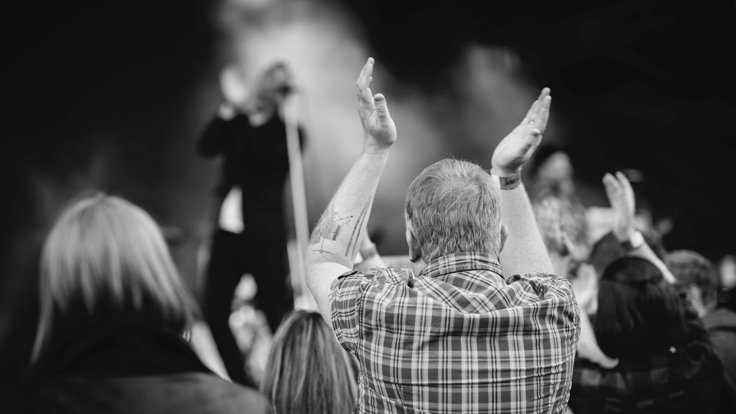 Utendørskonserter – Fredag